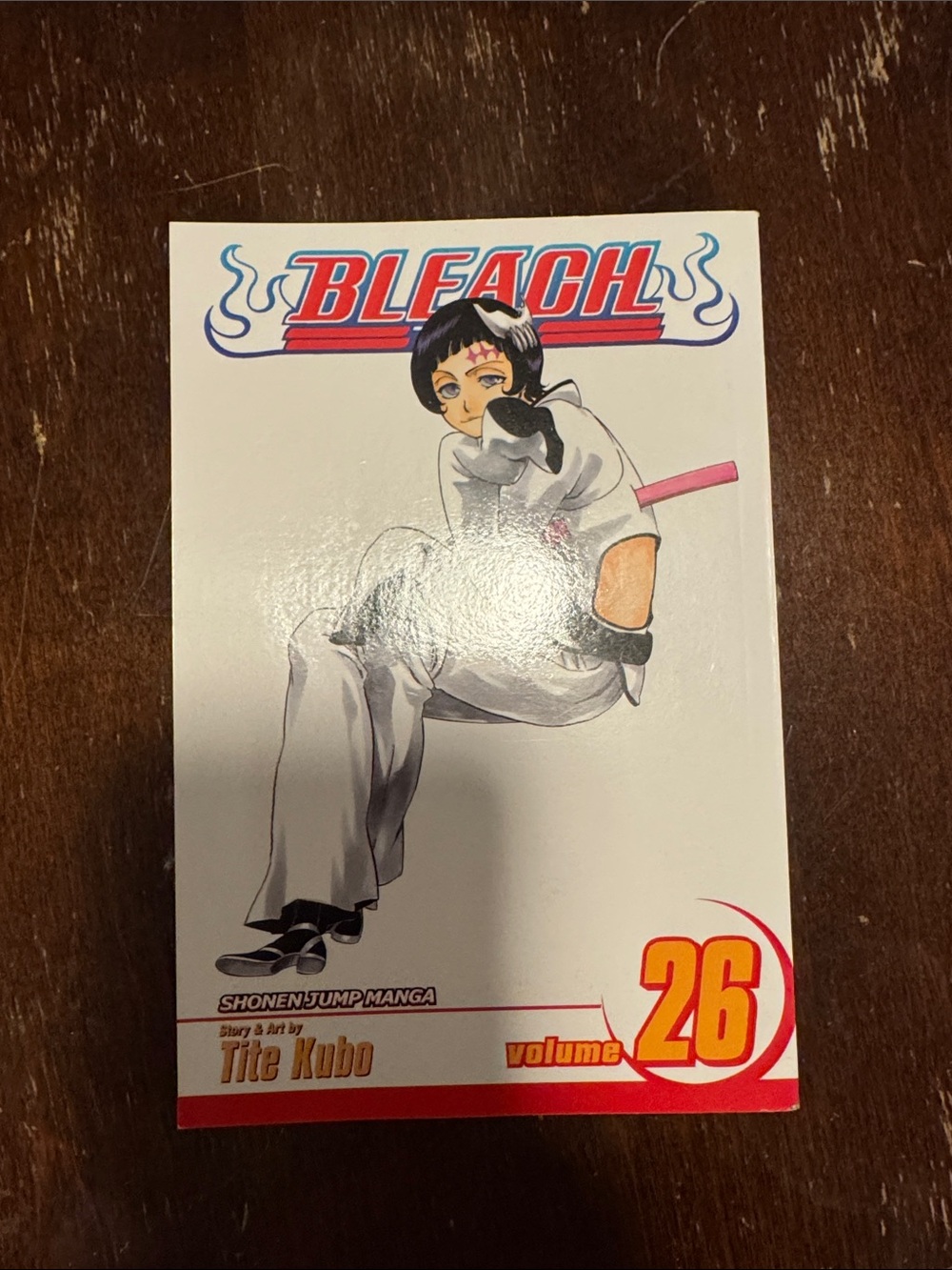 Bleach Volume 26 Graphic Novel - Paperback